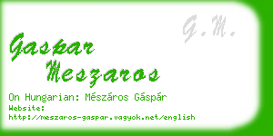 gaspar meszaros business card